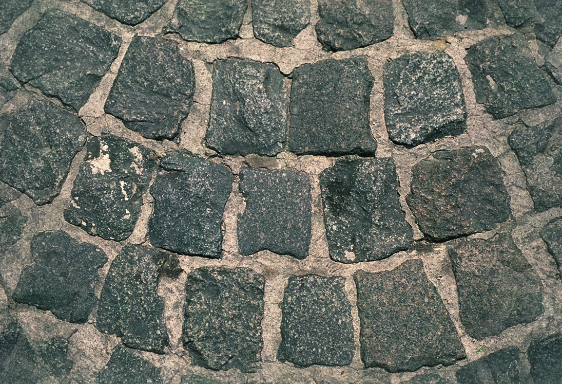PAVE1.jpg