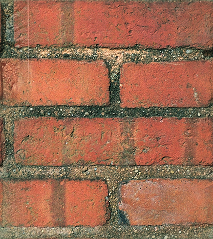 wall4.jpg