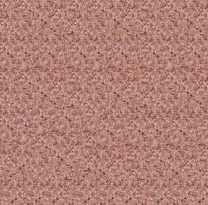CARPET4.JPG