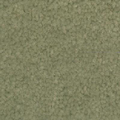 CARPTB05.JPG