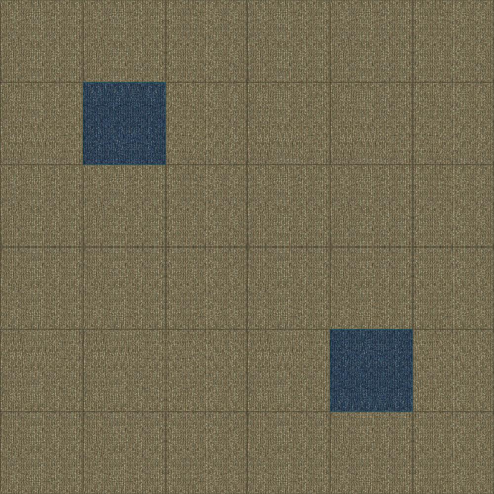 CARPTB11.JPG