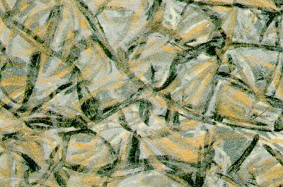 CARPTB22.JPG