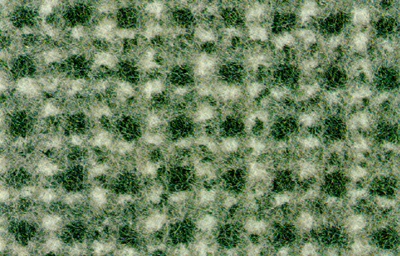 CARPTB38.JPG