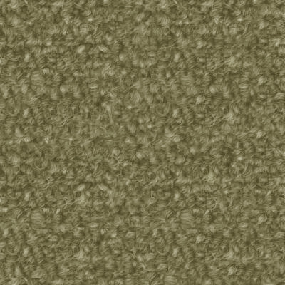 CARPTC22.JPG