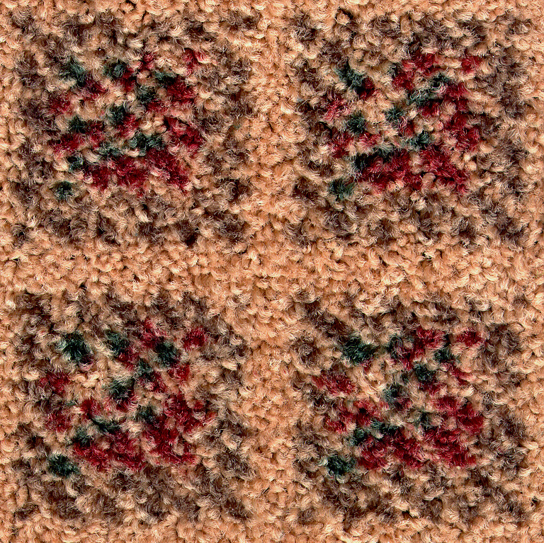 CARPTC25.JPG