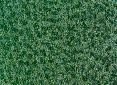 CARPTD02.JPG