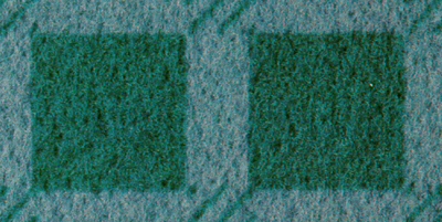 CARPTD05.JPG