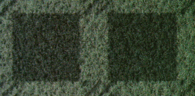 CARPTD06.JPG