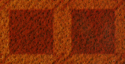 CARPTD07.JPG