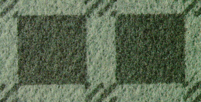 CARPTD08.JPG