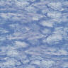BACK061.JPG