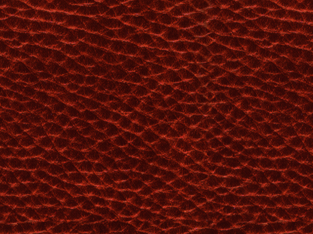 LEATHER2.jpg