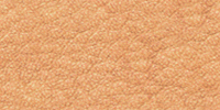 cuir04.gif