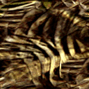 Fabric_Random1_017.jpg