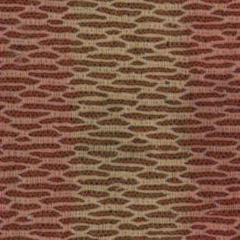 Fabric_Random1_043.jpg