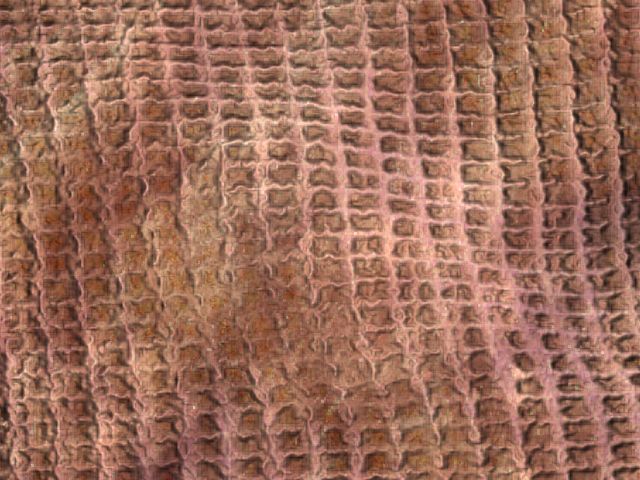 Fabric_Random1_055.jpg