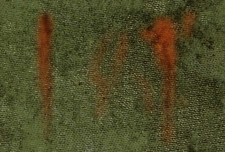 Fabric_Random1_076.jpg