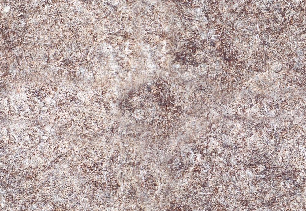 Fabric_Random1_088.jpg