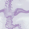 Fabric_Random2_011.jpg