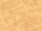 Fabric_Random2_028.jpg