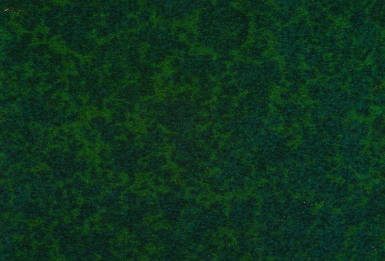 Fabric_Random2_039.jpg