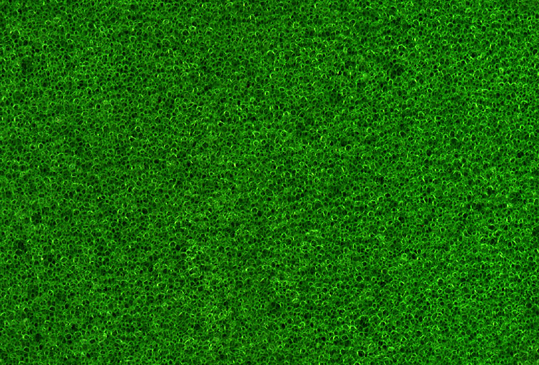 Fabric_Random2_053.jpg