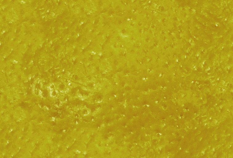 Fabric_Random2_054.jpg