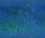Fabric_Random2_060.jpg