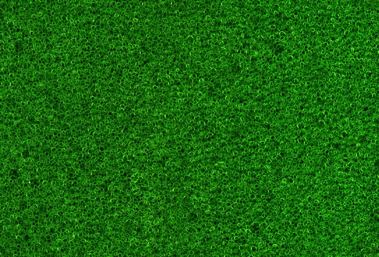 Fabric_Random2_064.jpg
