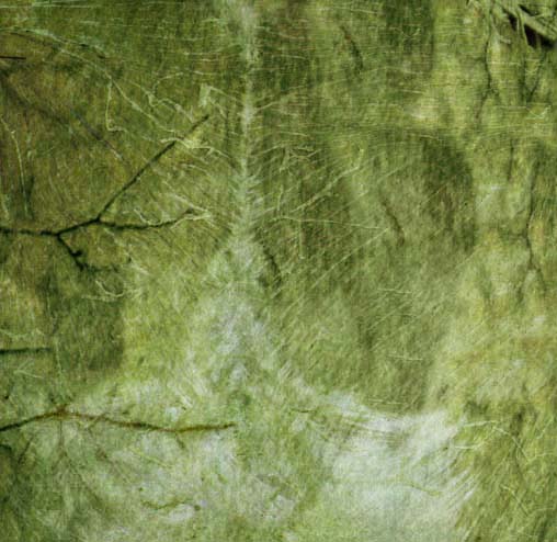 Fabric_Random2_067.jpg