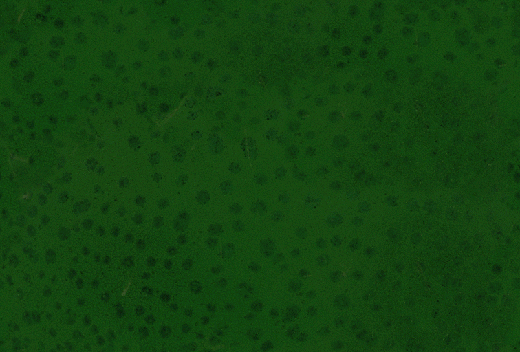 Fabric_Random2_069.jpg
