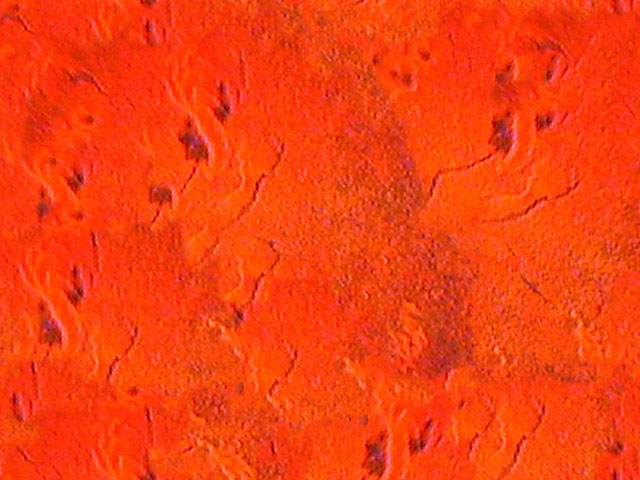 Fabric_Random2_071.jpg