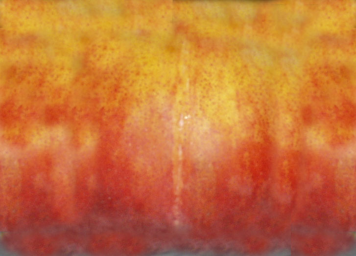 Fabric_Random2_091.jpg