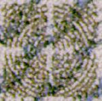 FABLCB01.JPG