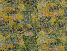 FABRCD09.JPG