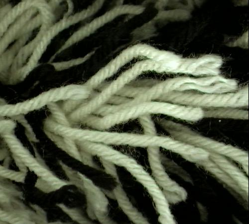 Fibers.jpg