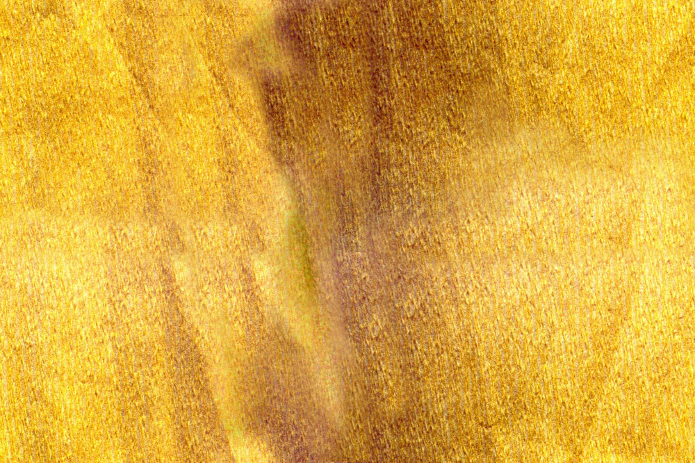 scan0899_010.jpg