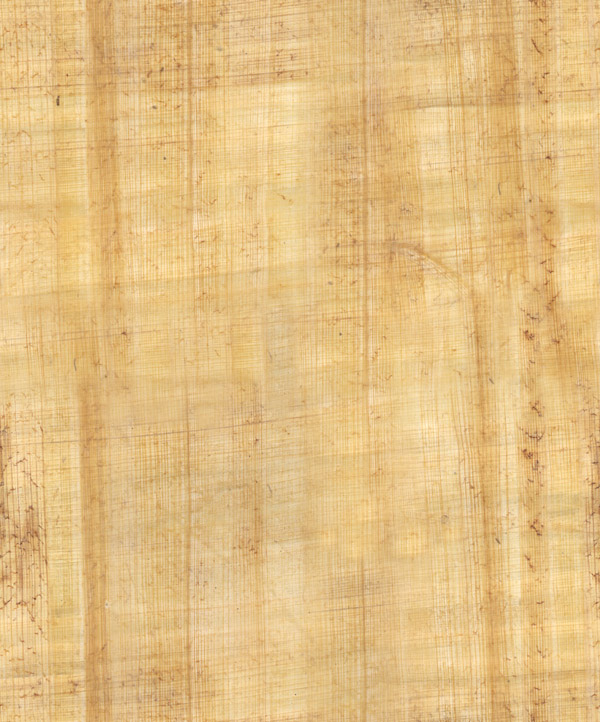Fabric_Random4_127.jpg