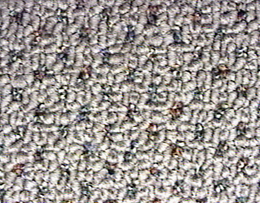 Fabric_Tile1_012.jpg