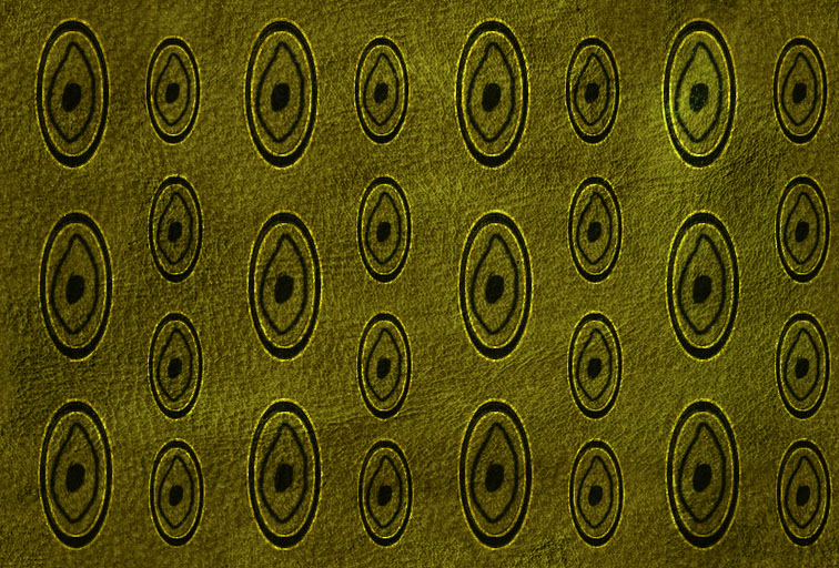 Fabric_Tile2_136.jpg