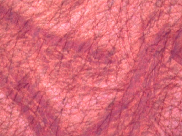 Fabric_Tile3_120.jpg