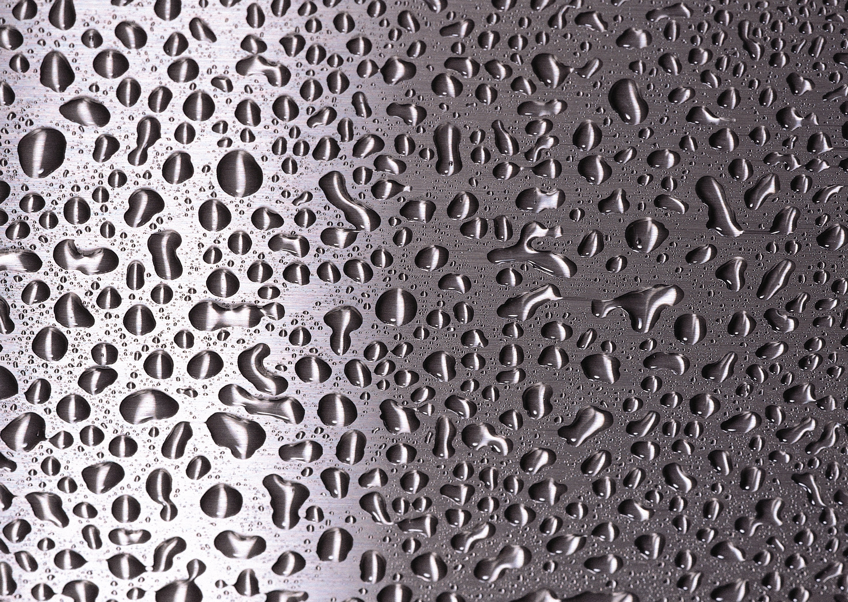 Mask_Large2_010.jpg