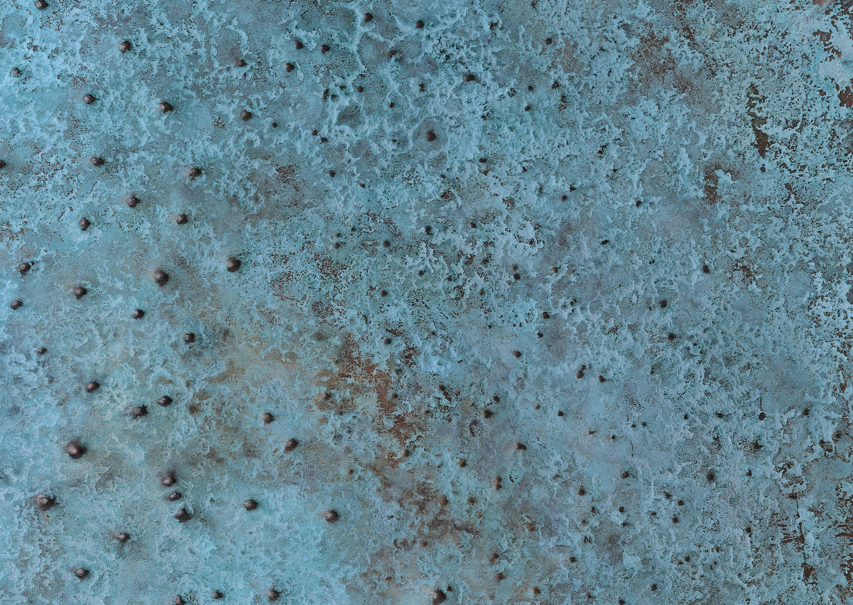 Mewtal_Large4_027.jpg