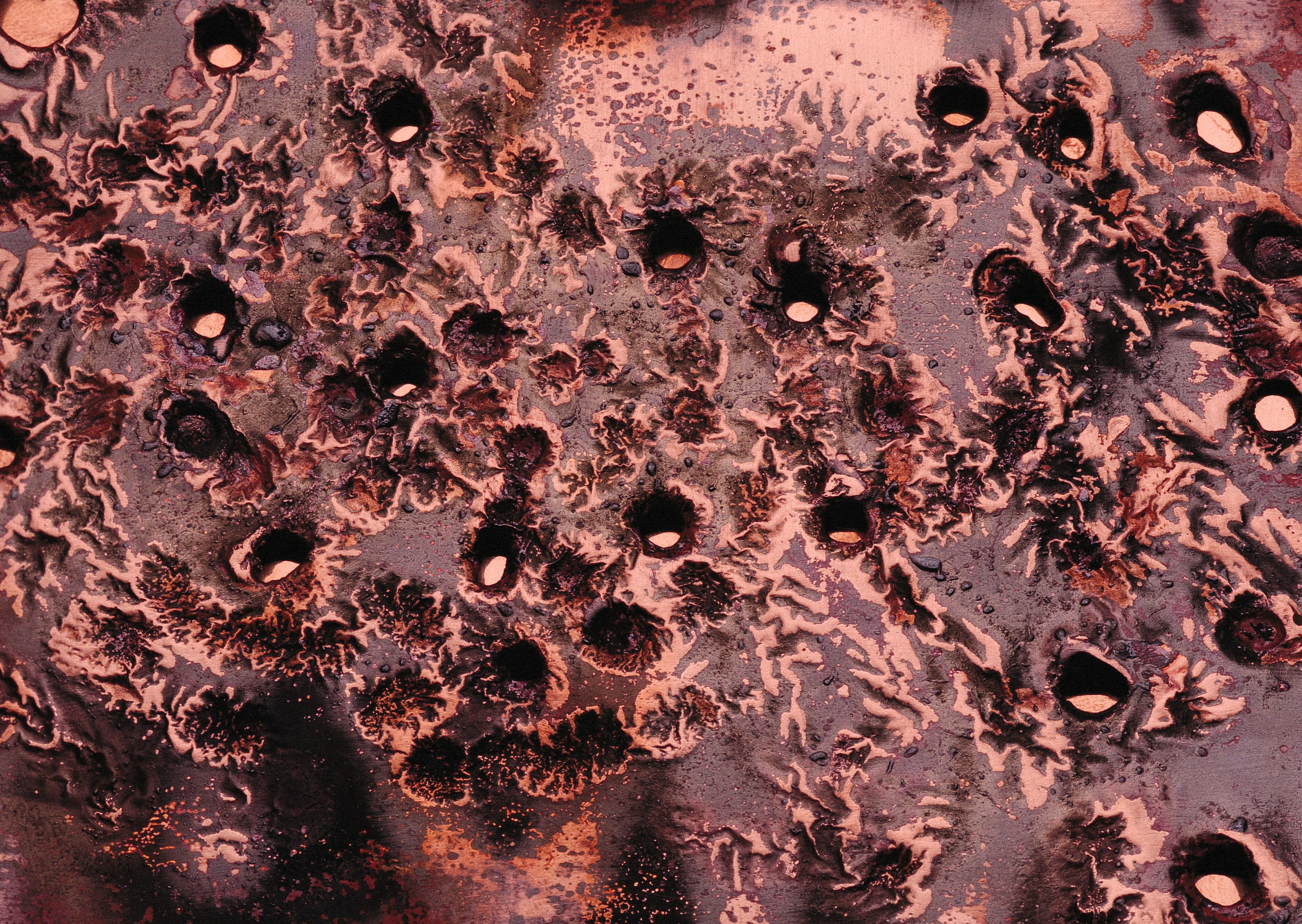 Mewtal_Large4_039.jpg