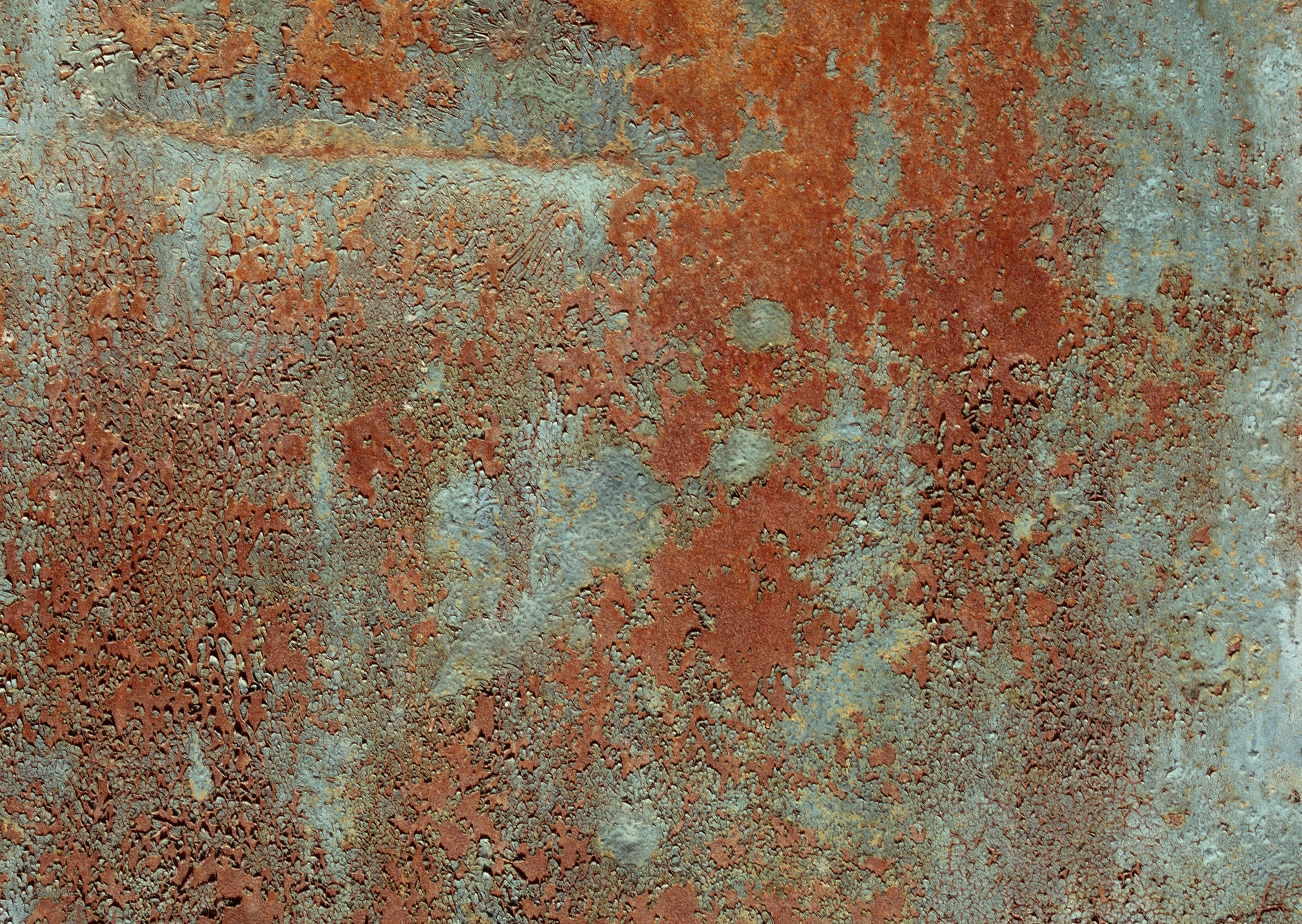 Mewtal_Large4_040.jpg