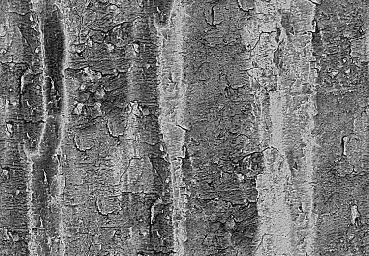 Metal_Random1_072.jpg