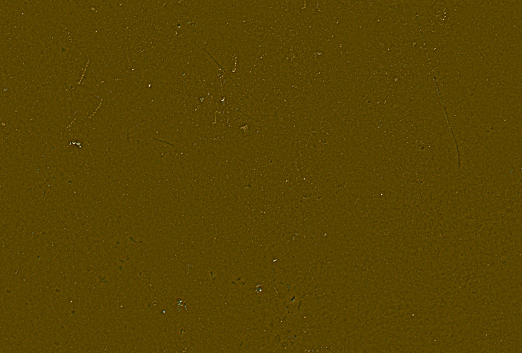 Metal_Random2_073.jpg