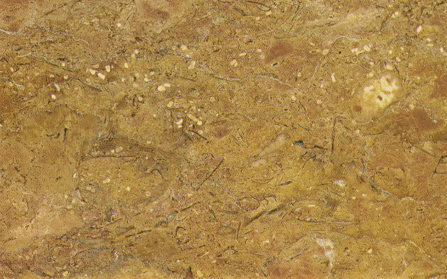 Metal_Random2_097.jpg