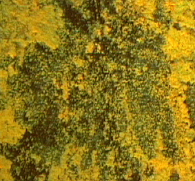 Metal_Random2_111.jpg