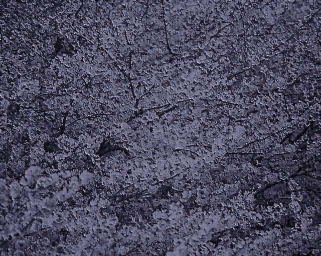 Metal_Random3_093.jpg